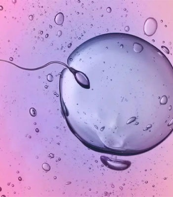 Ovulation induction with timed intercourse (OI-TI)